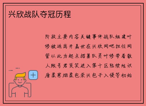 兴欣战队夺冠历程